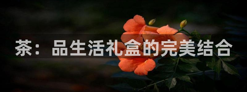 鸿运平台代理代