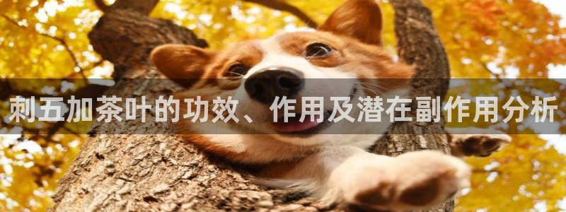 鸿运抽奖是什么平台