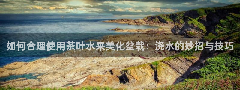 鸿运集团办公平台