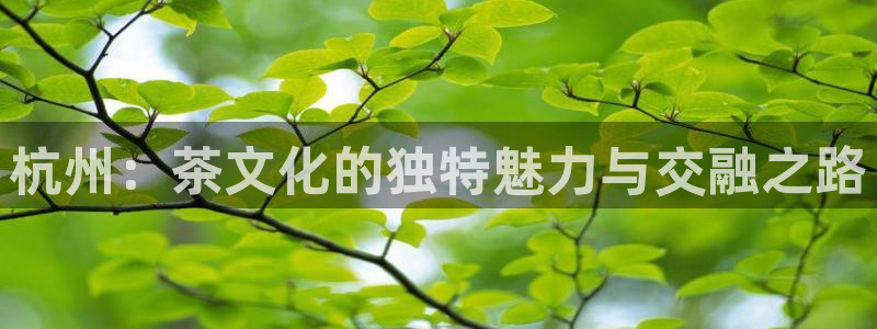 鸿运代还平台