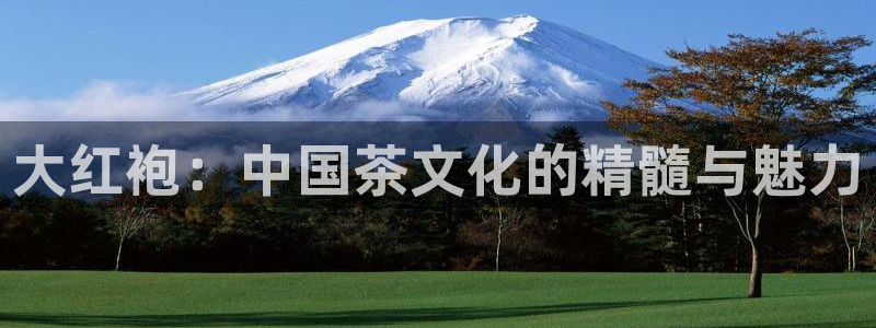 鸿运直播平台安卓版