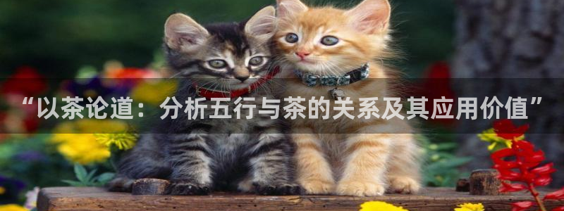 鸿运聊天计划平台