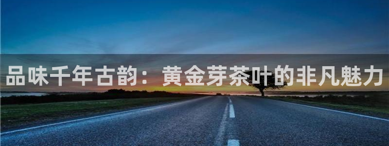 鸿运平台投资诈骗