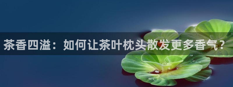 鸿运最佳网投平台