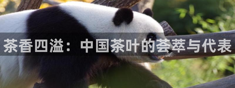 鸿运平台是骗局吗