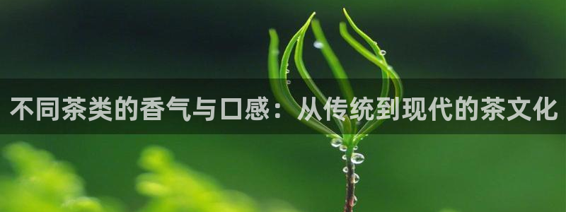 鸿运抽奖是什么平台