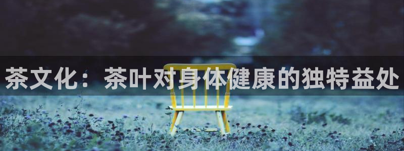 琥珀鸿运平台多久了