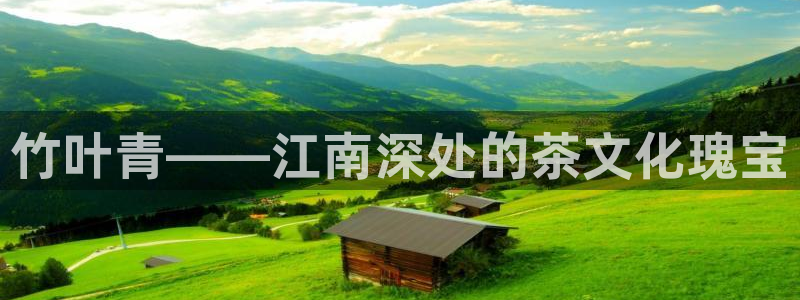 鸿运牛骨服务平台