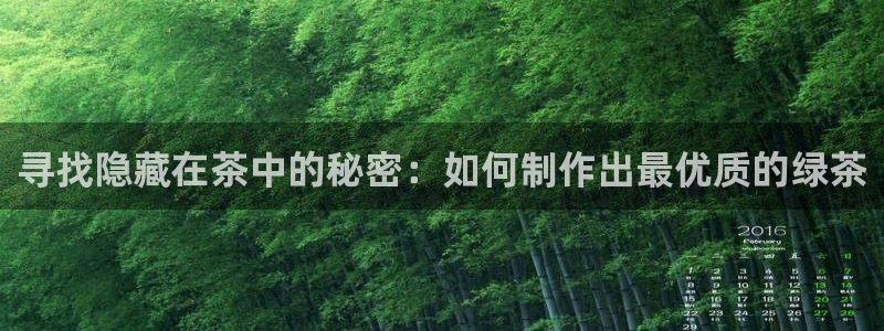 鸿运团队推广平台