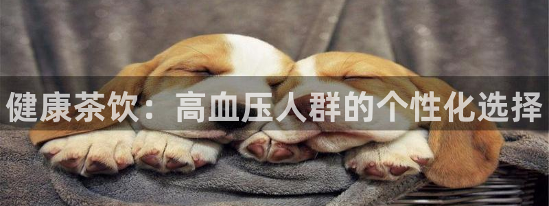 鸿运国际时时彩平台