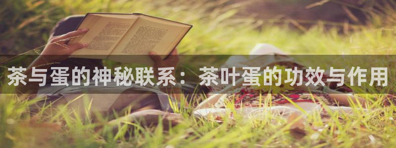 香港鸿运黑平台