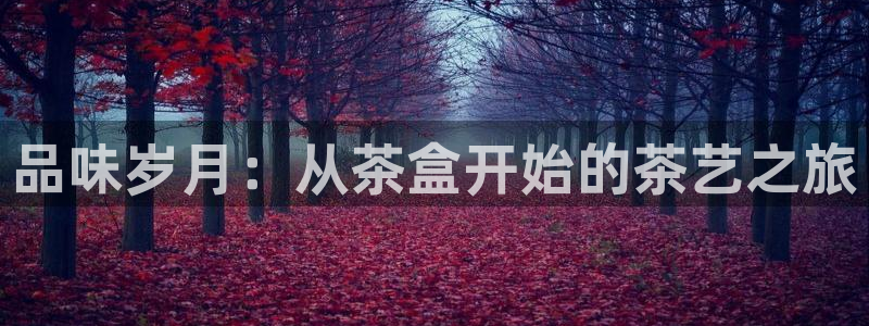 鸿运来平台正规吗