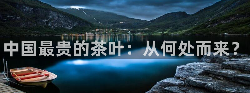 鸿运寄卖回收平台