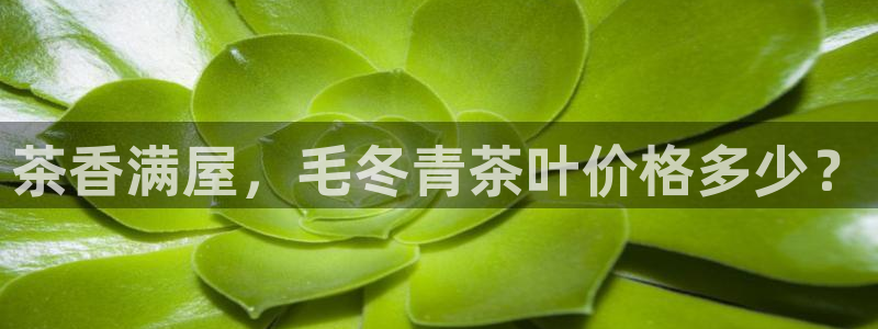 鸿运棋牌黑平台