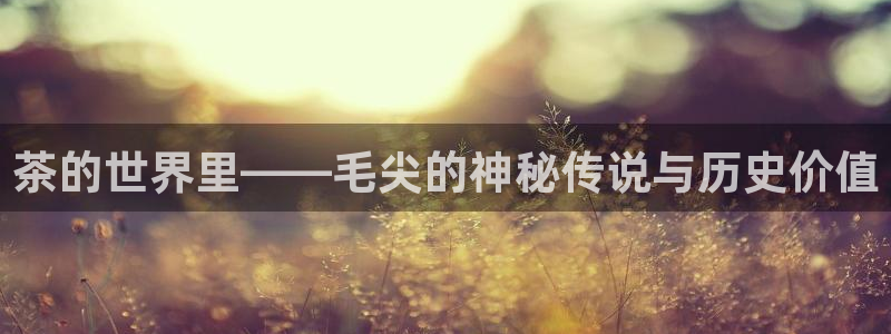 香港鸿运微投资平台