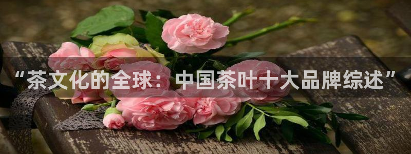 鸿运到游戏平台