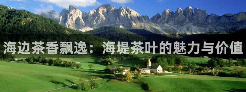 鸿运来彩票平台