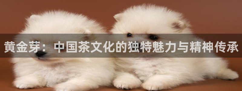 鸿运平台黑钱吗