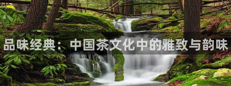 鸿运商会直播平台