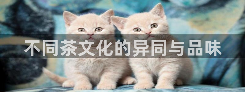 鸿运购彩专业平台