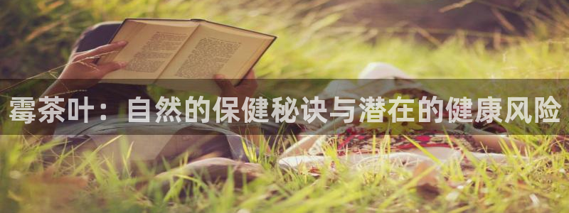 香港琥珀鸿运平台邀请码