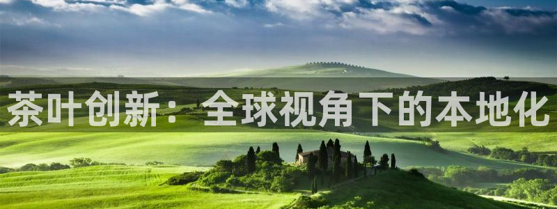 国际鸿运官方平台