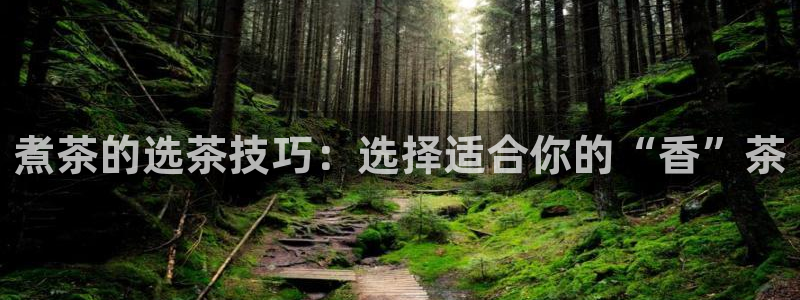 鸿运集团平台招聘信息