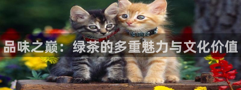 鸿运满堂团购平台