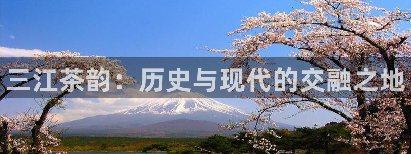 鸿运滚滚抽奖平台