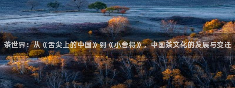 鸿运仓储直播平台