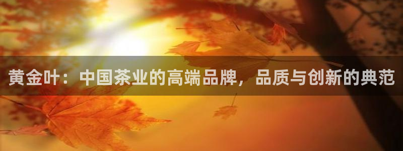 鸿运手机团购平台