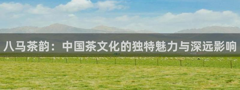 鸿运推广平台代理