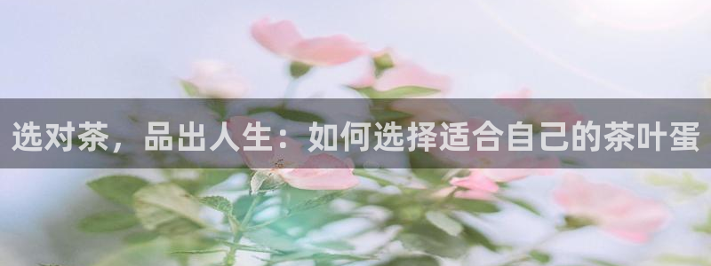 鸿运在线投资平台