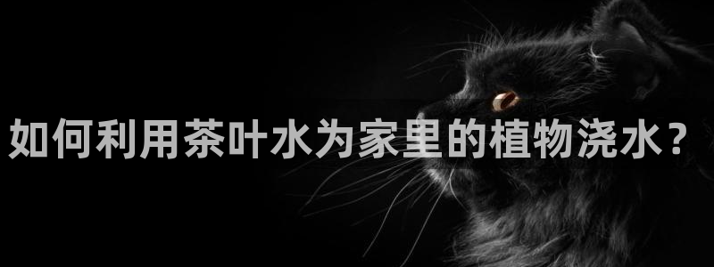 鸿运平台投资诈骗