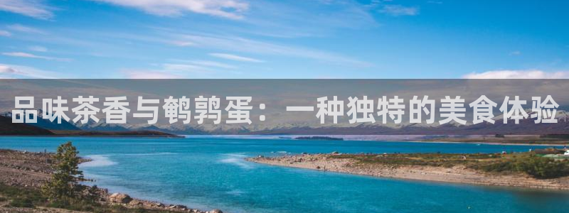 鸿运阿姨直播平台