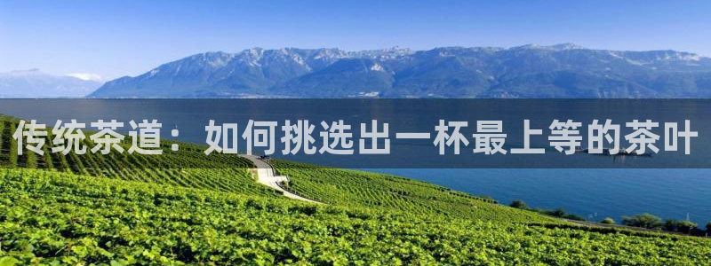 鸿运平台代理理