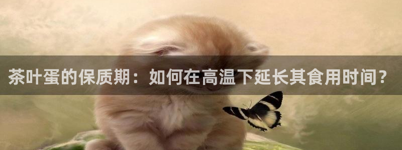 香港鸿运交易平台