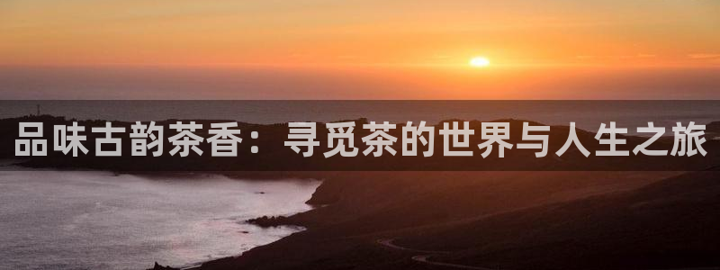 鸿运服务平台是什么平台