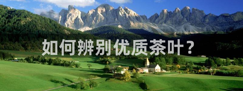 鸿运到平台在线客服