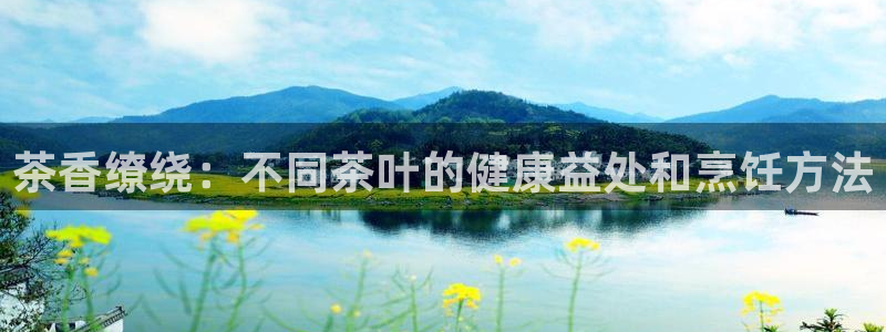 鸿运在线投资平台