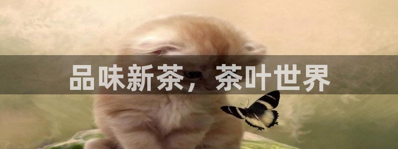 鸿运彩票平台正规吗