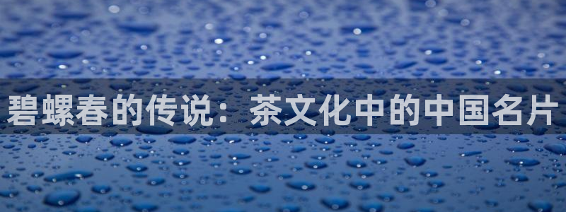 鸿运彩票专业购采平台