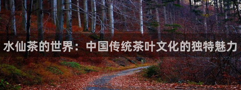 鸿运服务平台是什么平台