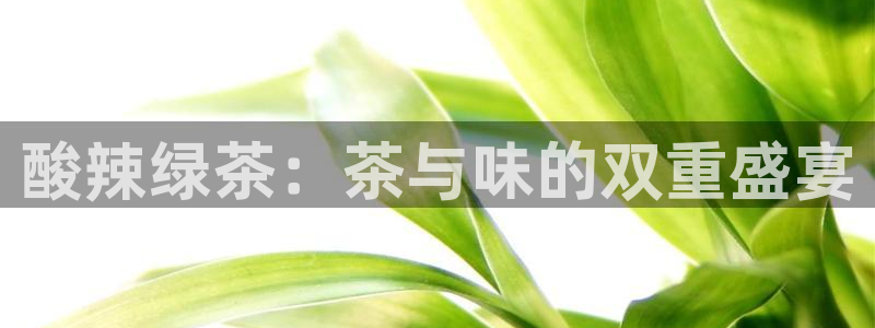 鸿运平台app下载