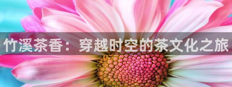 国际鸿运官方平台