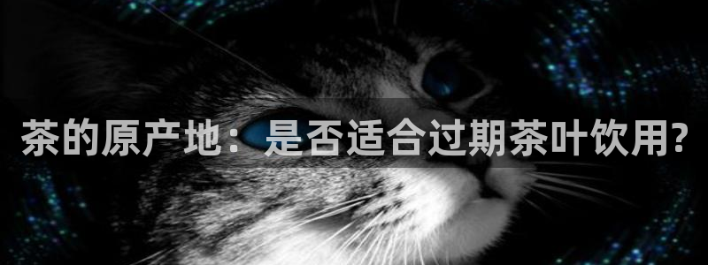 鸿运赌城开户平台