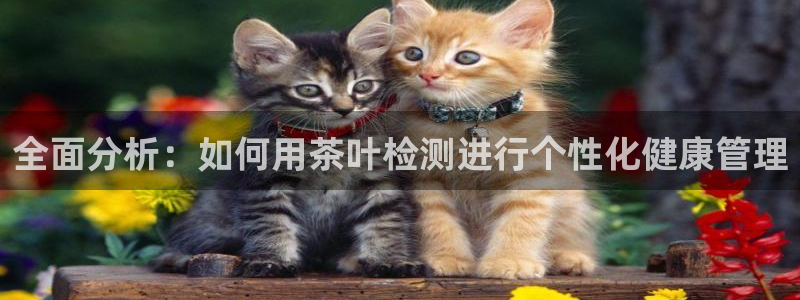 鸿运平台运平
