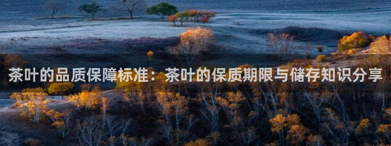 鸿运国际时时彩平台