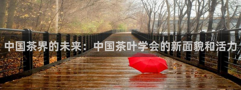 鸿运体育平台网址