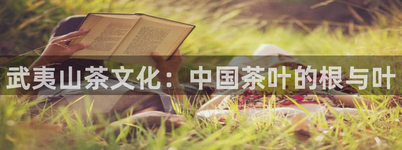 鸿运平台是诈骗平台